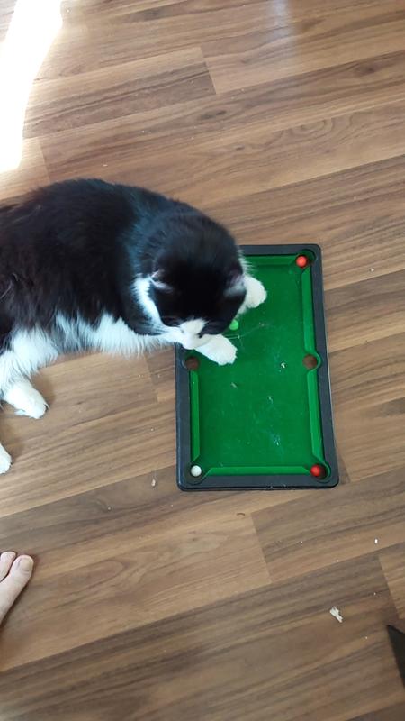 Pool shark in training.