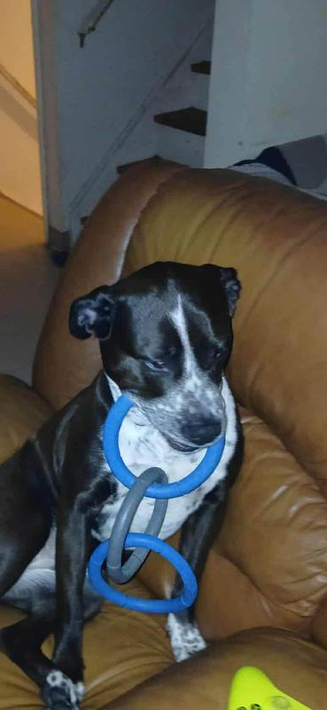 dads chair is my chair now!