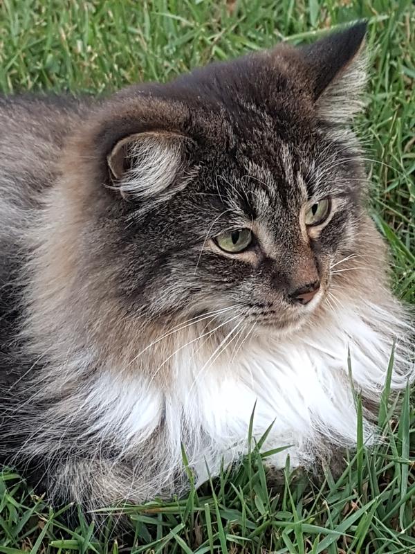 Sitting outside with mom.