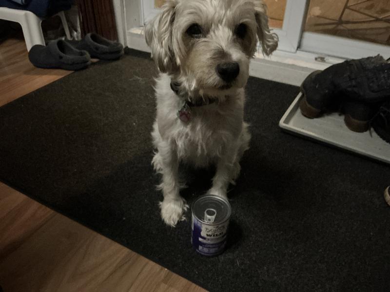 Photo - commentaire&nbsp;6.