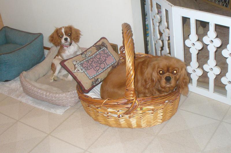 Everyone needs their own spot