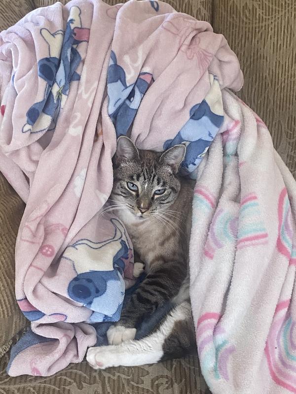 Time for a morning nap after breakfast