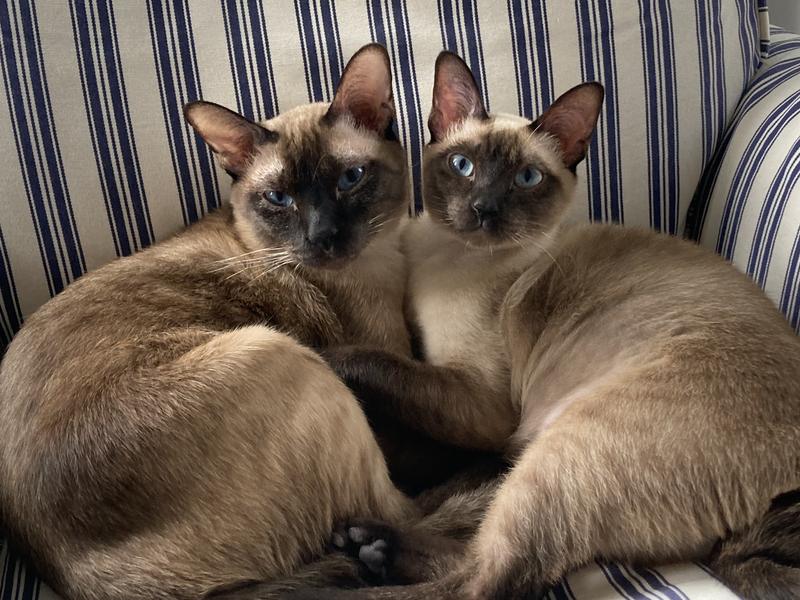 Jonah and Asia