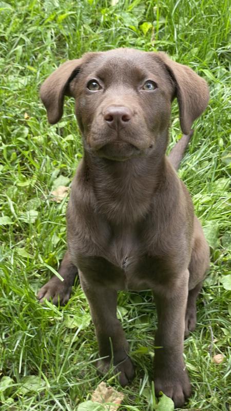 Photo - commentaire 8.