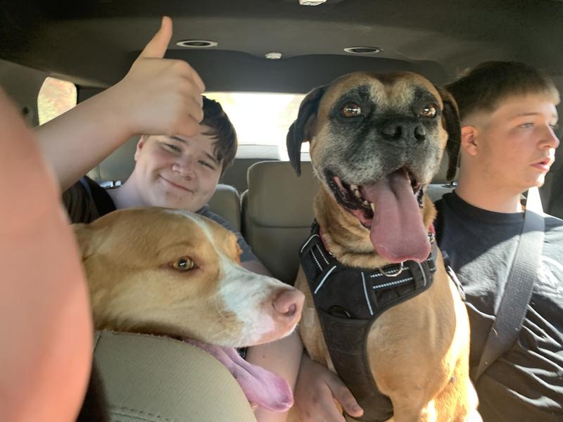 Beaumont is always ready to go thanks to Purina pro plan weight management food