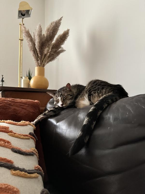 Photo - commentaire 2.