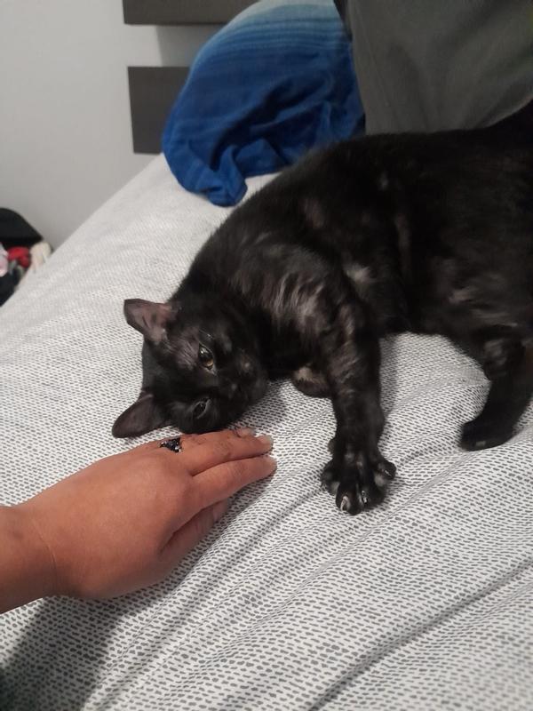 Photo - commentaire 4.