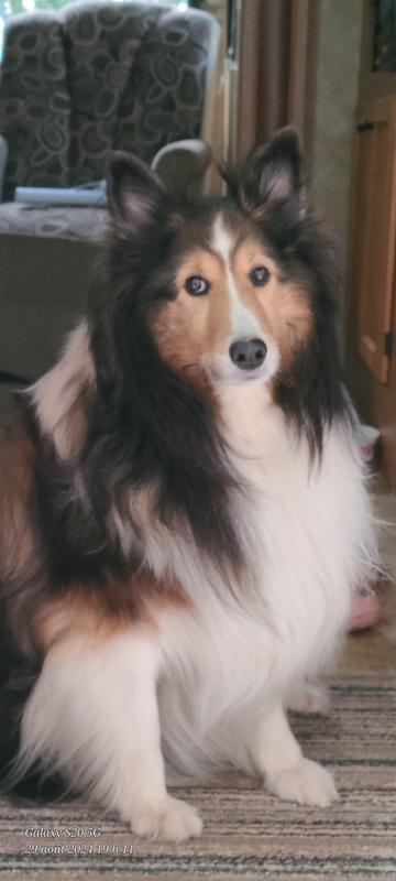 Elle est magnifique ma veille fille.