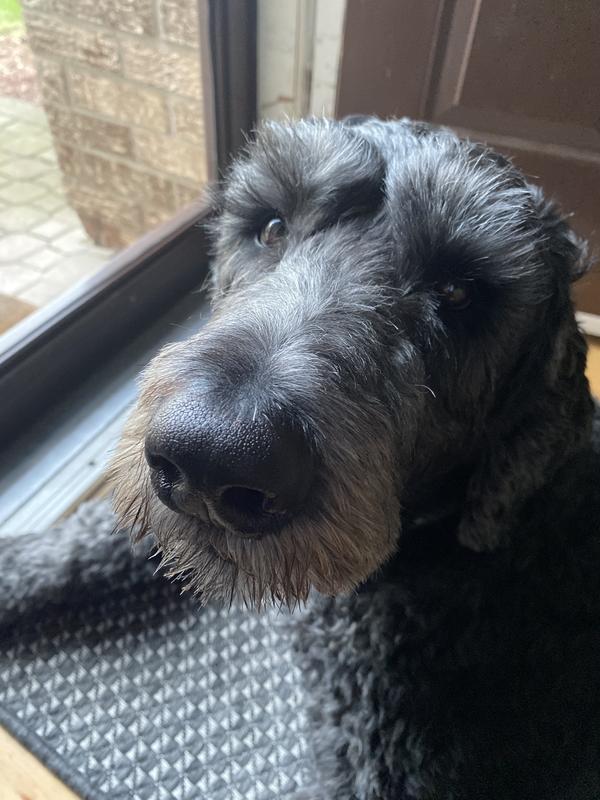 What’s up Mom I busy protecting the sidewalk!