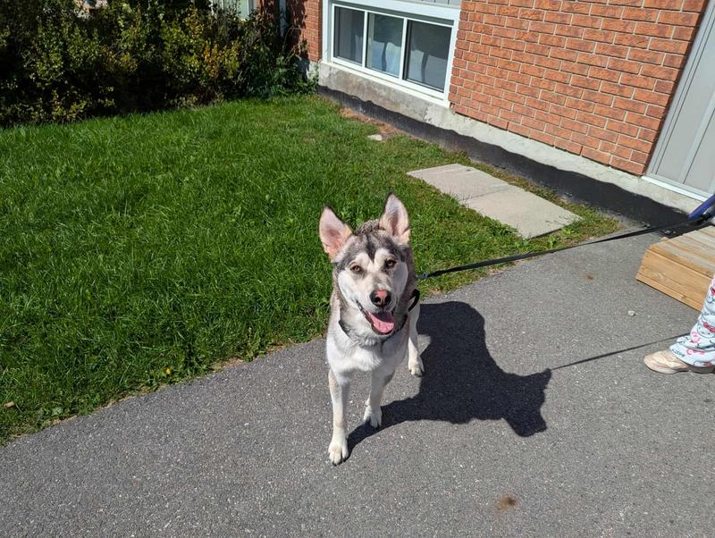 Great day for a jaunt