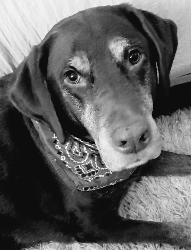 Hold back the paparazzi