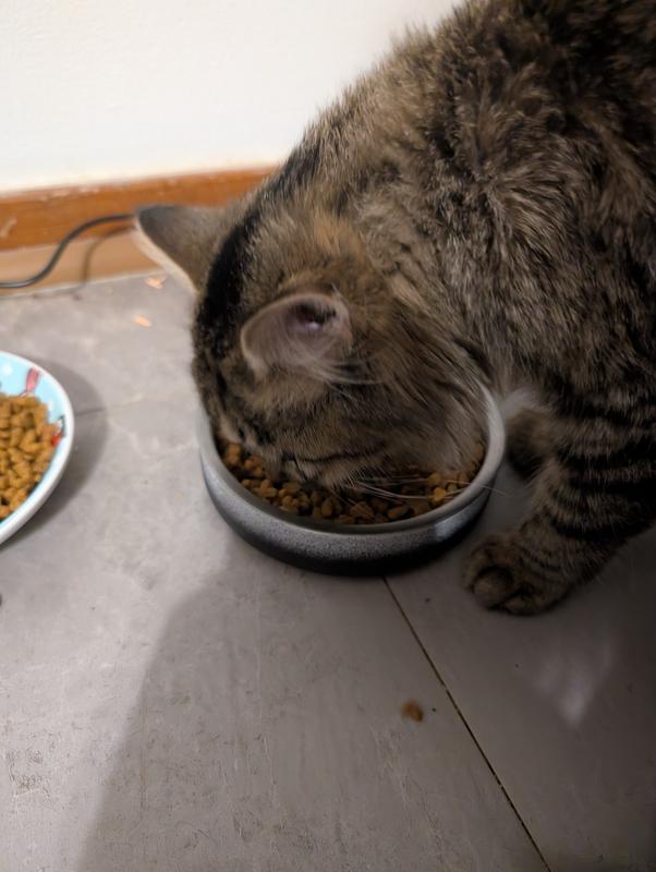 Photo - commentaire&nbsp;4.