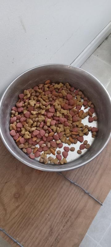 Food left uneaten by Wilfy