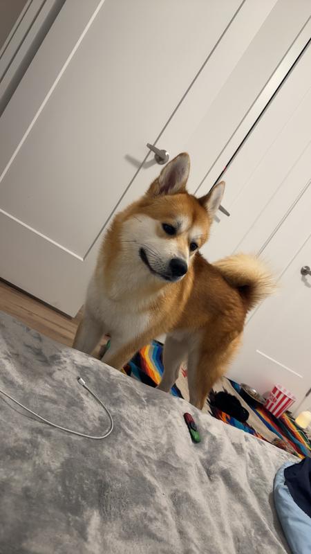 Him now