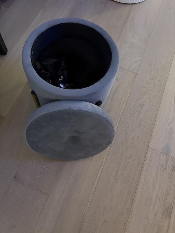 Also loves tight spaces