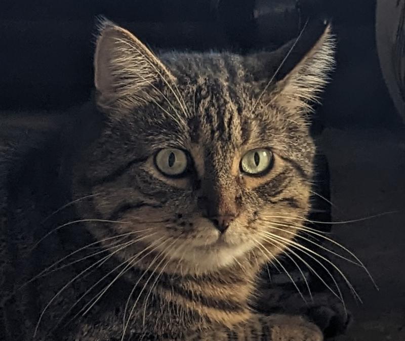 Former Feral Kevin