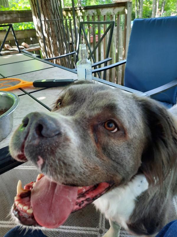 Belvy... Did you say treats?