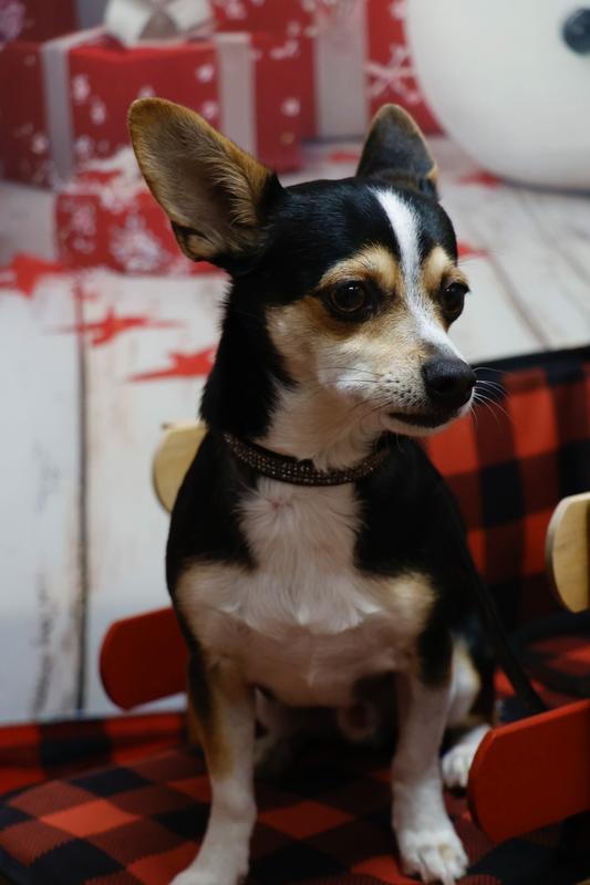 Photo - commentaire 8.