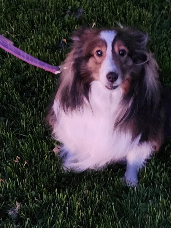 Photo - commentaire 8.