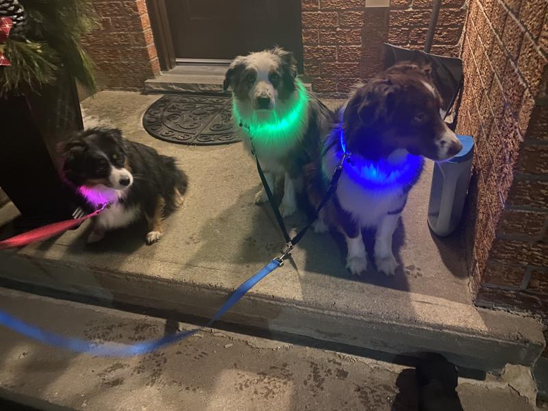 Photo - commentaire&nbsp;2.