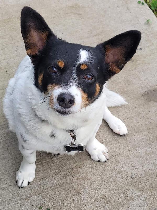 Photo - commentaire 5.