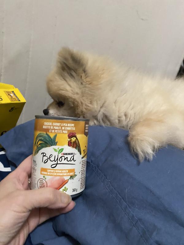 Beyond chicken pea carrots recipe for Alex