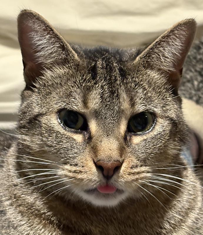 Photo - commentaire&nbsp;7.