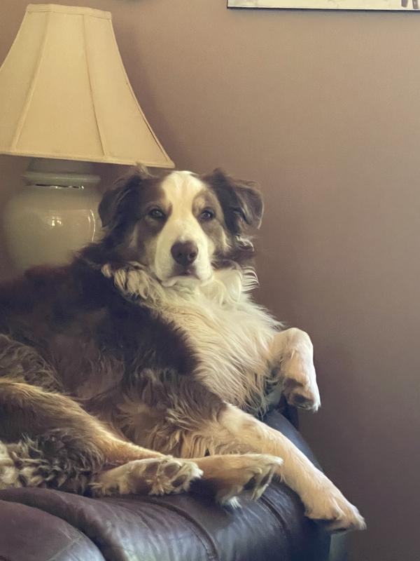 Is it time for supper yet