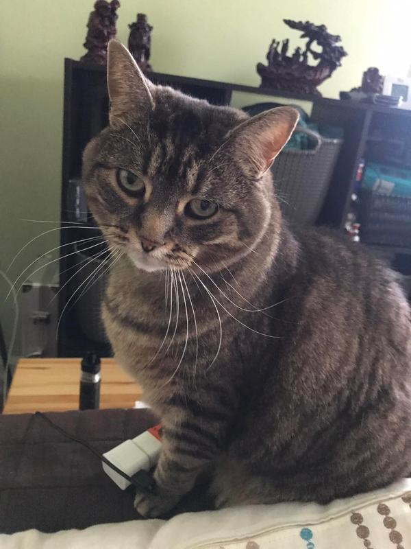 Toute la douceur dans ses yeux.