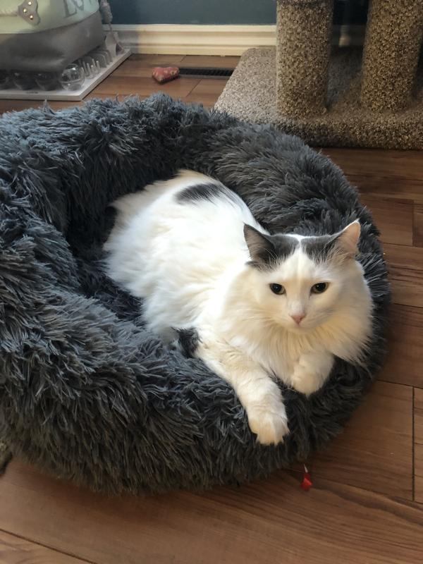 Sugar- beautiful girl