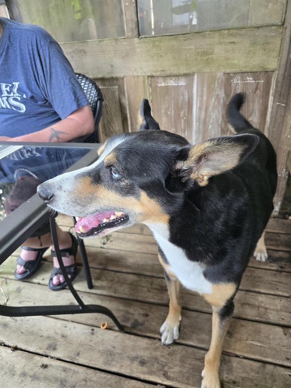 Photo - commentaire&nbsp;1.