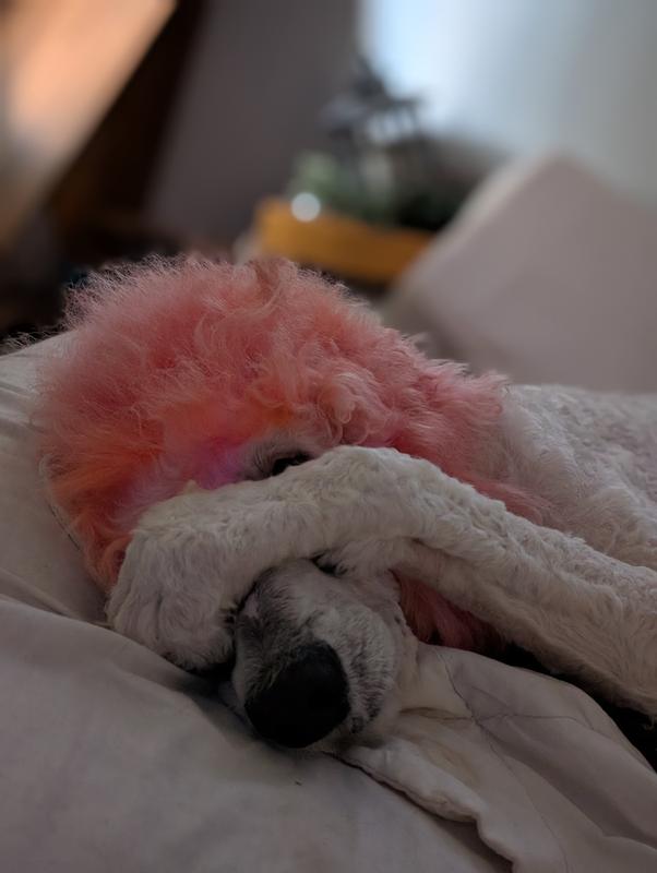 She is so shy....Not!  Lol