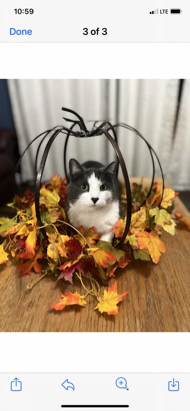 Photo - commentaire&nbsp;8.