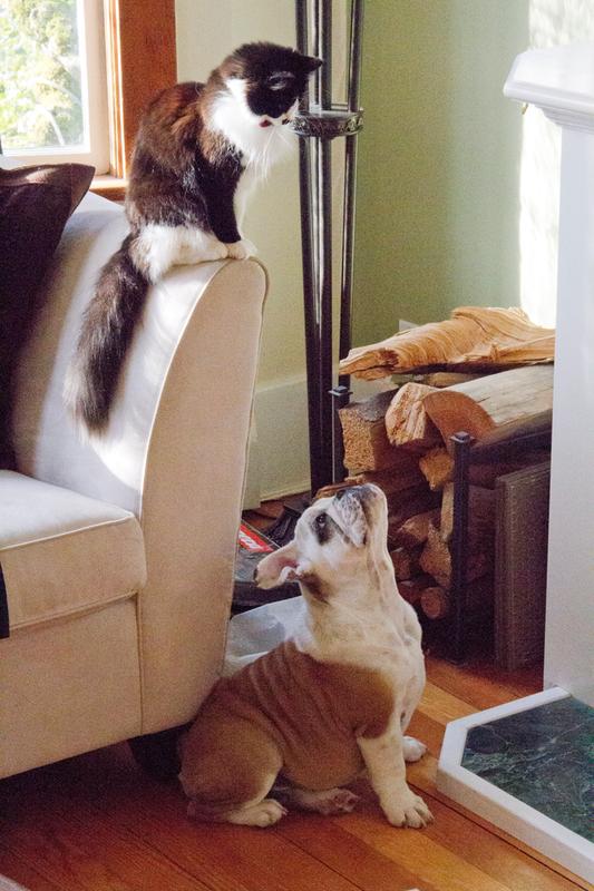 You want a piece of me?