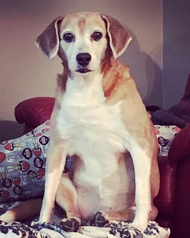 Hello! My name is Maple