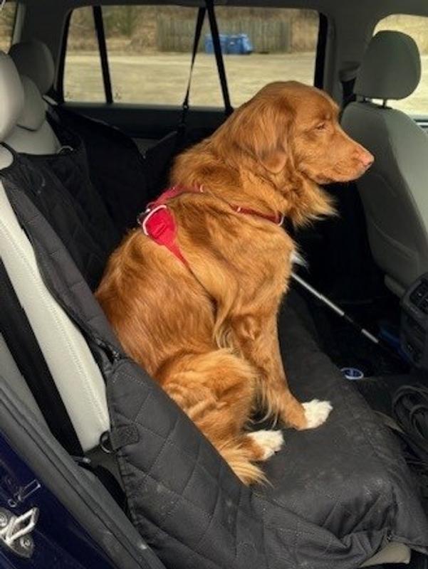 Ready to hit the trails.