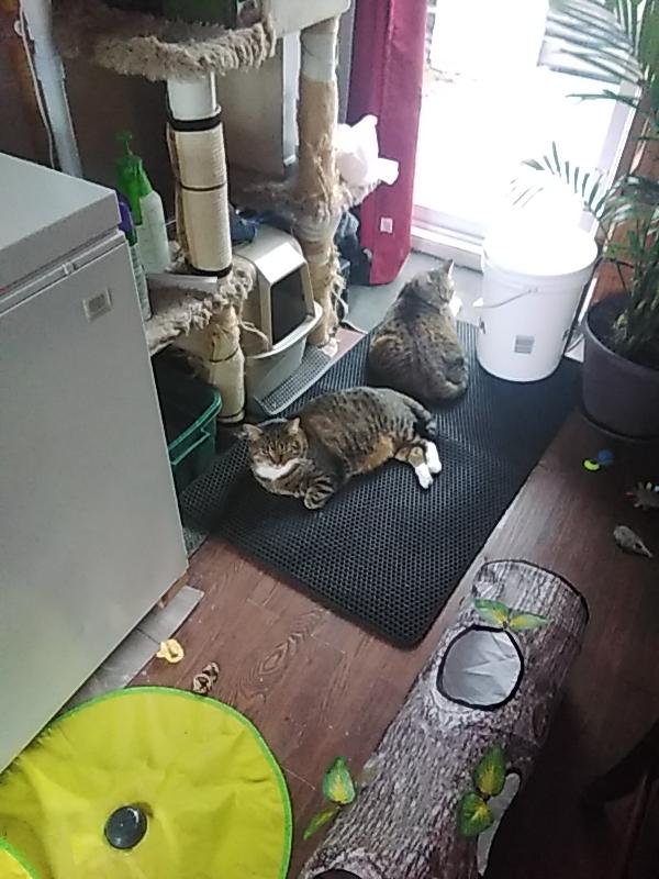 Photo - commentaire&nbsp;2.