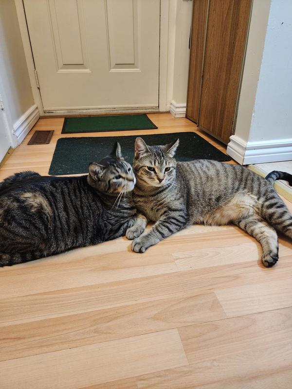 My babies !!!