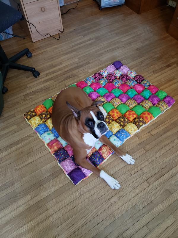 My dental treat is gone, I could use seconds.