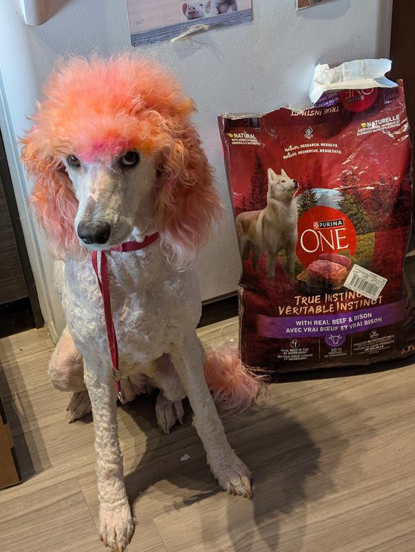 My best girl with her favorite food