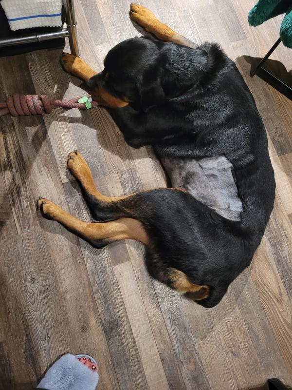 Putting weight on again 💪