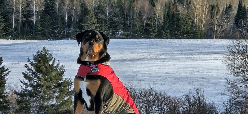 Bon pour prendre la pause