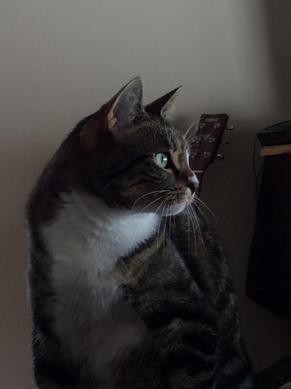 My beautiful Chiquita.