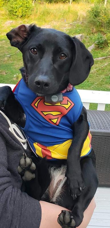 My name is June (super June)