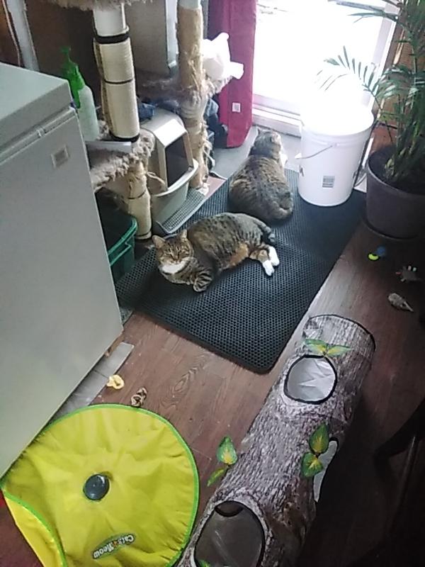 Photo - commentaire&nbsp;4.