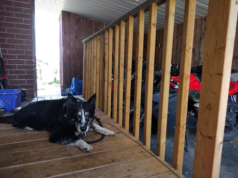 Photo - commentaire 2.