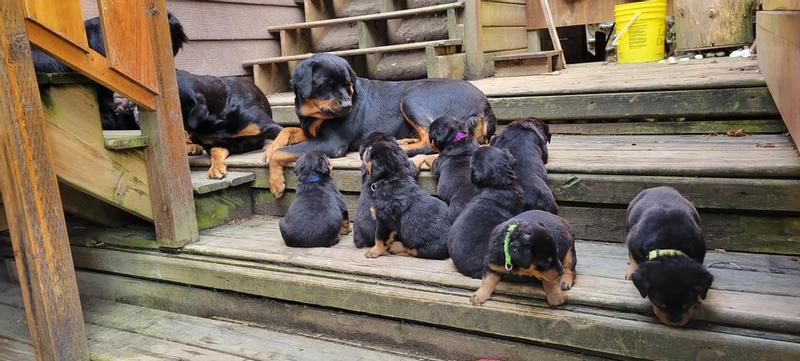 To grow up happy and strong and beautiful.