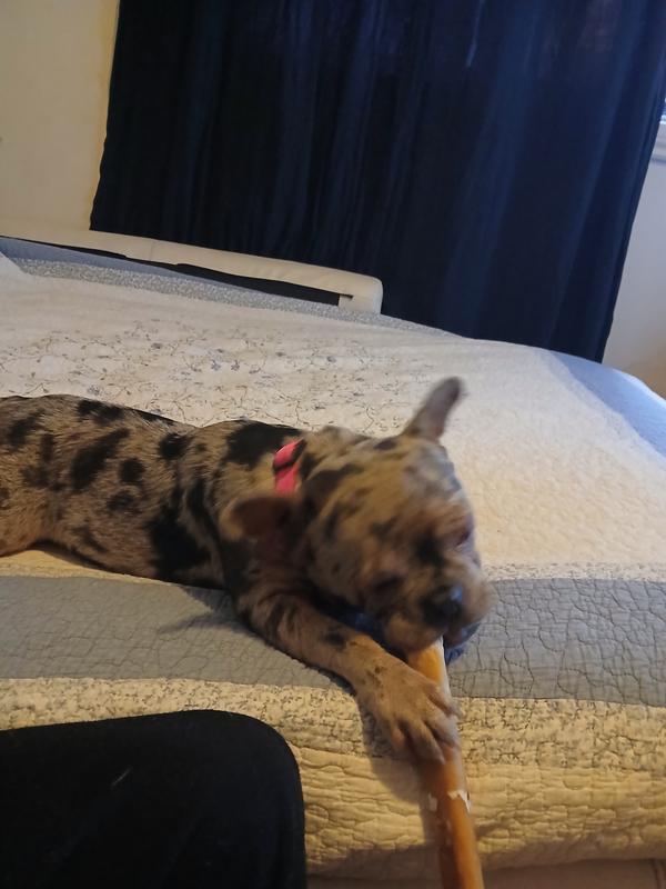 Photo - commentaire 5.