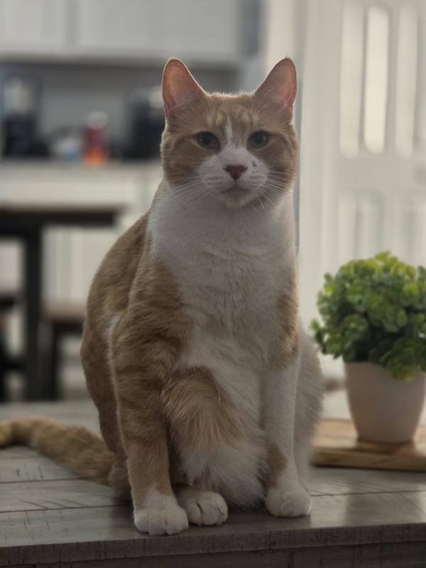 This Review has been approved by Stanley