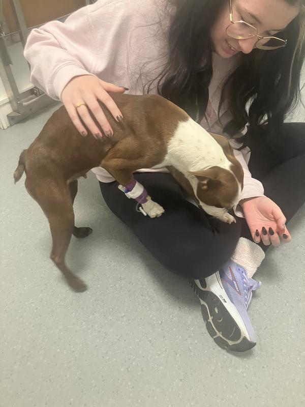 When Emma was sick and not eating